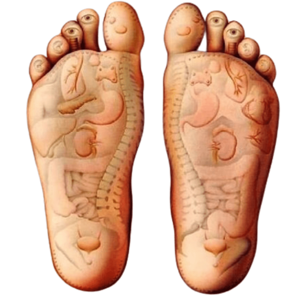 ZenSole™ Reflexology Massage Slippers