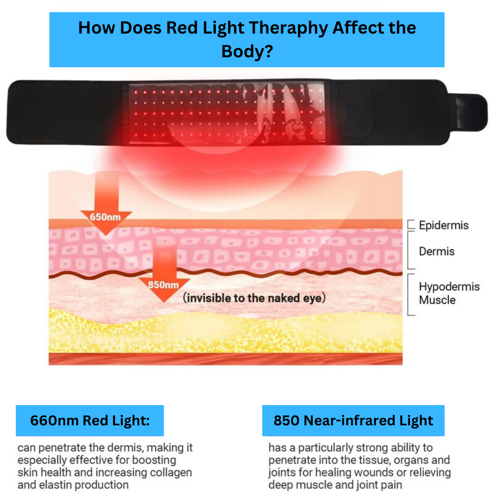 ThermaRelief: Red Light Belt Infrared Warming Pad